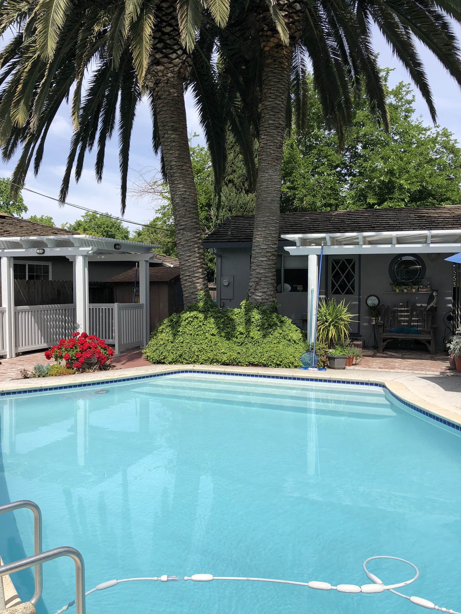 Premier Patios’ Portfolio of Stunning Outdoor Designs